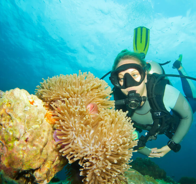 Reactivating as a PADI Divemaster PADI Pros