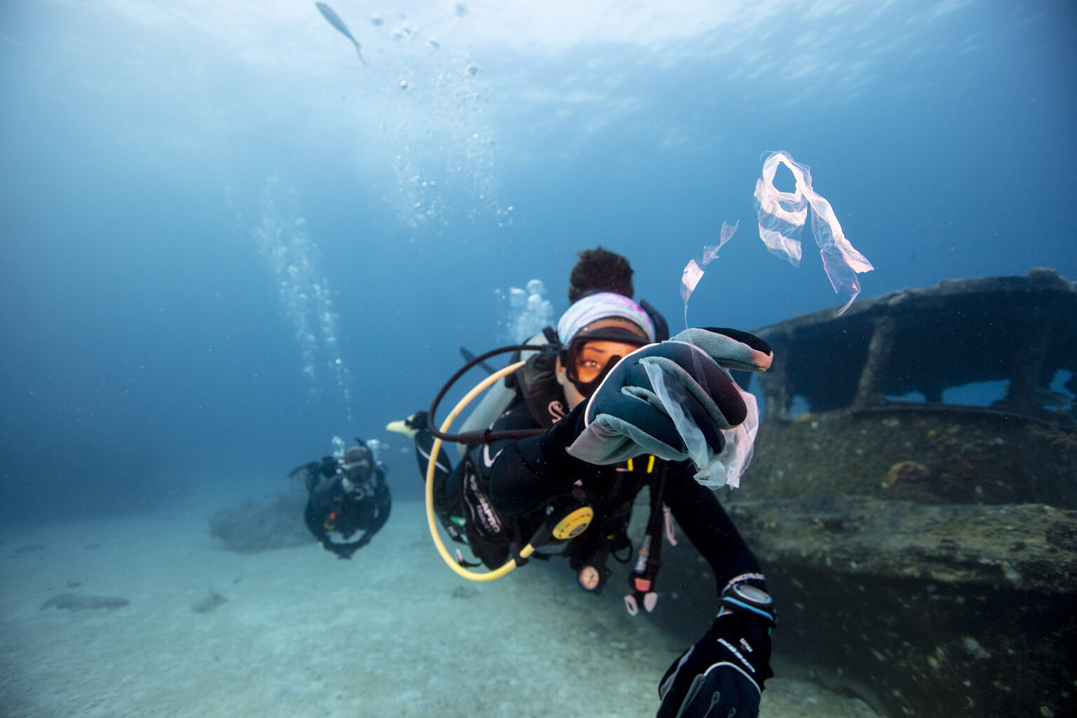 PADI Women’s Dive Day 2025: Celebrate the Connection Between Humanity ...
