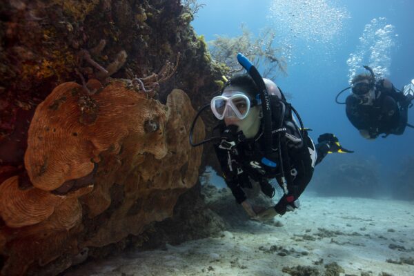PADI Women Diving