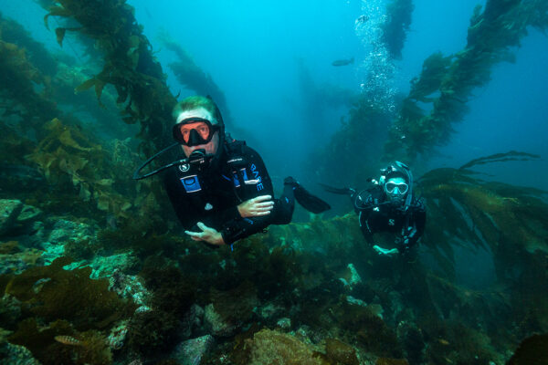 Dr. Drew Richardson diving underwater