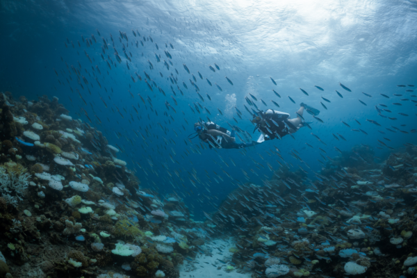 PADI マーケティングキャンペーンの成功に必要なもの