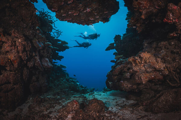 two scuba divers exploring underwater reef structure