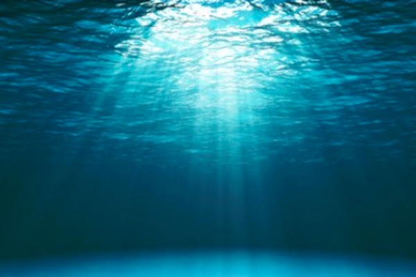 Read how to leverage the tools of the PADI new shared ecosystem to attract new divers