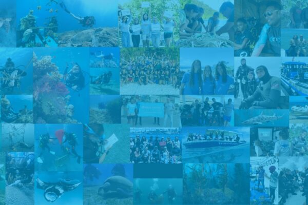 PADI AWARE Grantee Collage
