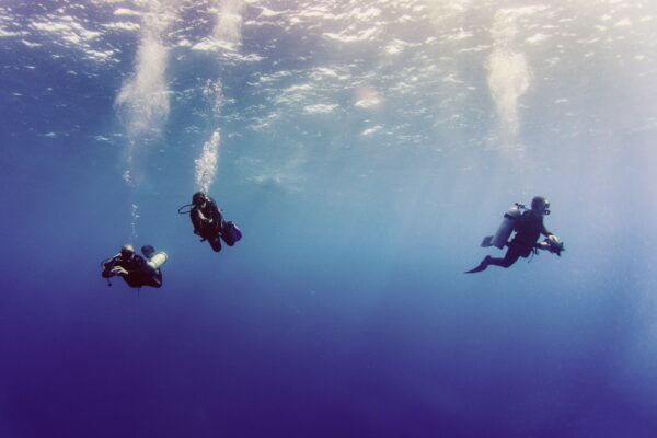 Three divers in the deep blue sea