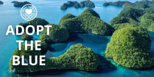 Adopt the Blue