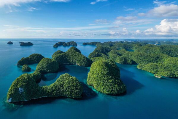 Adopt the Blue Islands