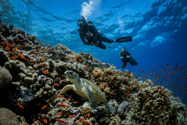 PADI Club: A Practical Tool To Grow Your Business & Retain More Divers