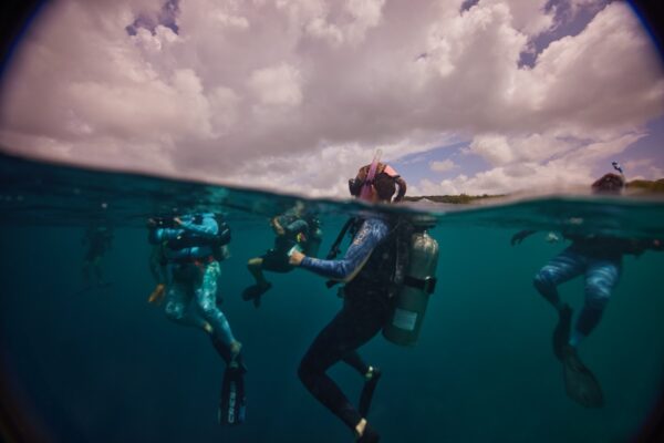 Scuba divers gather at the surface of the ocean as they prepare to submerge for their dive