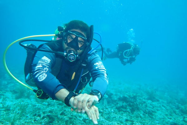 two divers glide along a coral reef