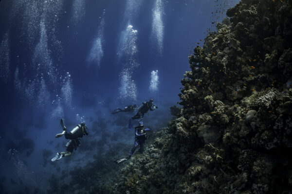 A group of divers explore a reef in Egypt