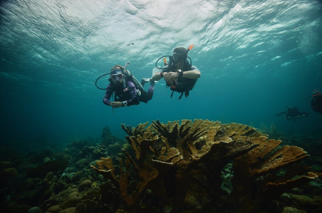 two divers swim over a coral reef in Curacao