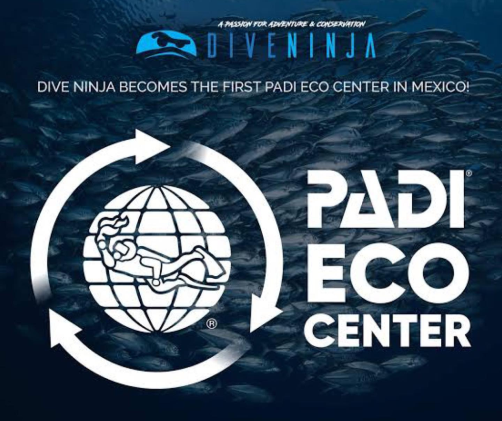 Dive Ninja Expeditions in Cabo San Lucas, Mexico is a PADI Eco Center. The first in the country.
