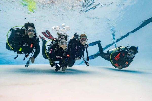 four divers swim in a line in a swimming pool