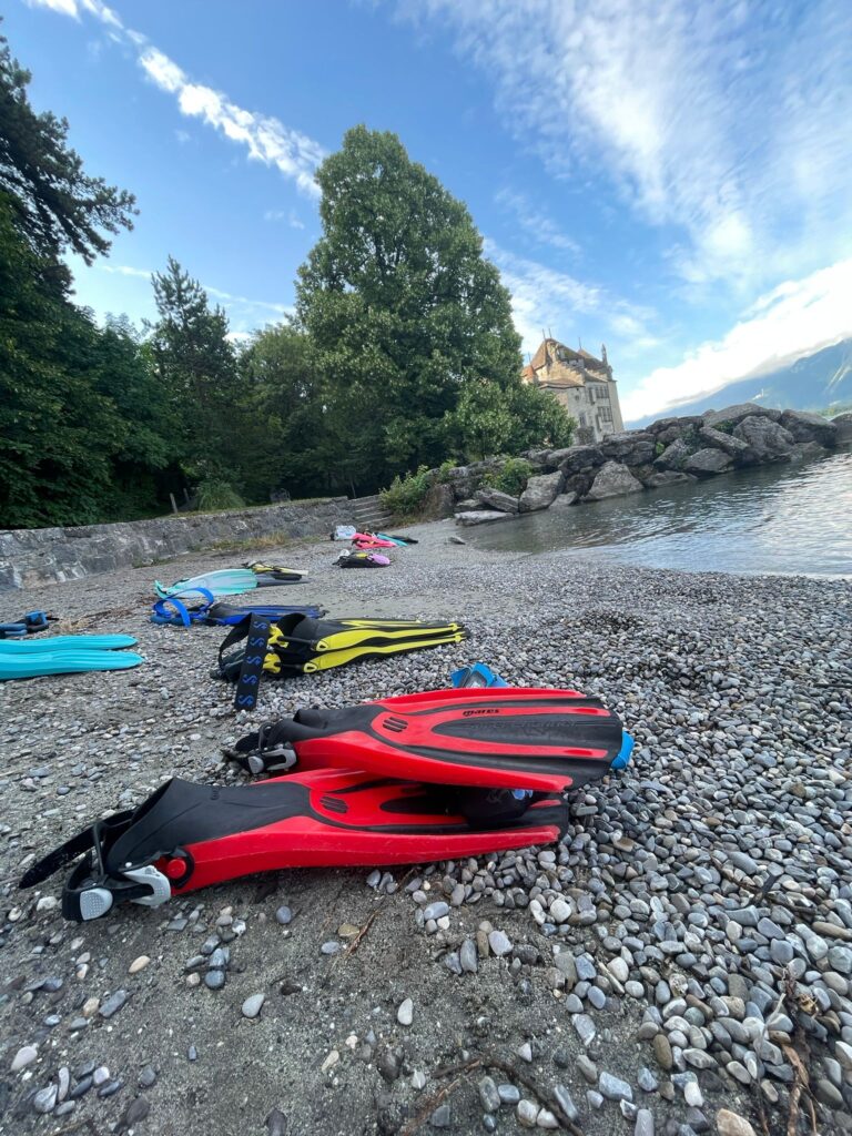 Colorful fins laying on the lake shore