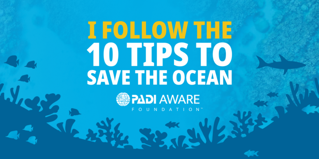 Something New for the Blue: Introducing the New PADI AWARE Specialty ...