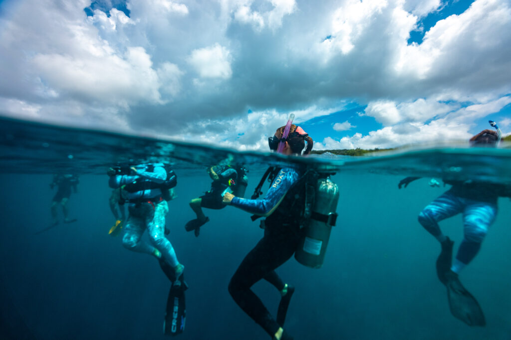 Divers at the surface