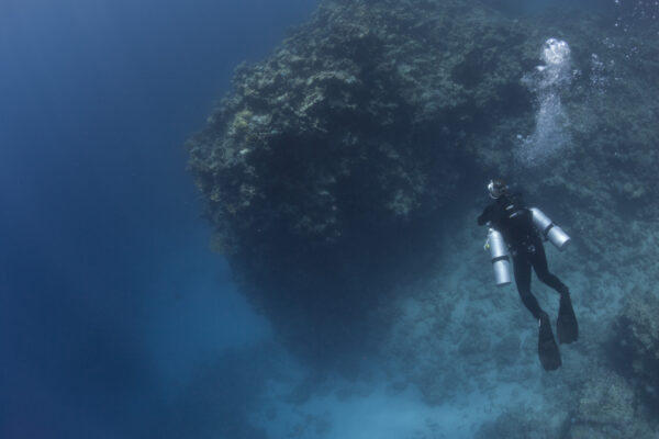 a diver in sidemount approaches underwater coral bommie