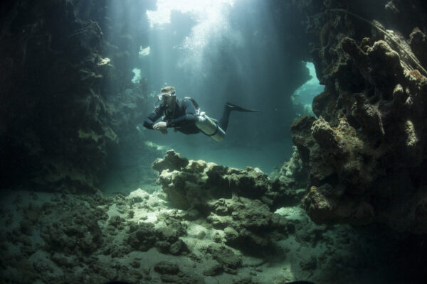 ダイビング・コミュニティの美しい複雑性の定義(The Beautiful Complexity of Dive Community Defined)