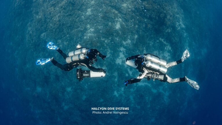 PADI Divemaster The Only Professional Level Certification You Need To PADI Divemaster The Only Professional Level Certification You Need To