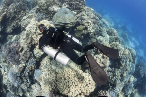 A tec diver explores a coral reef