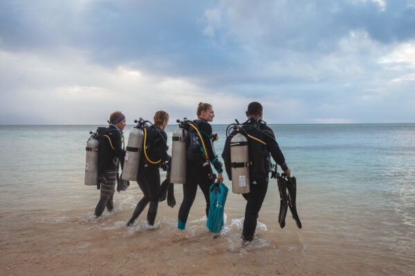 four divers walk into the water from the beach
