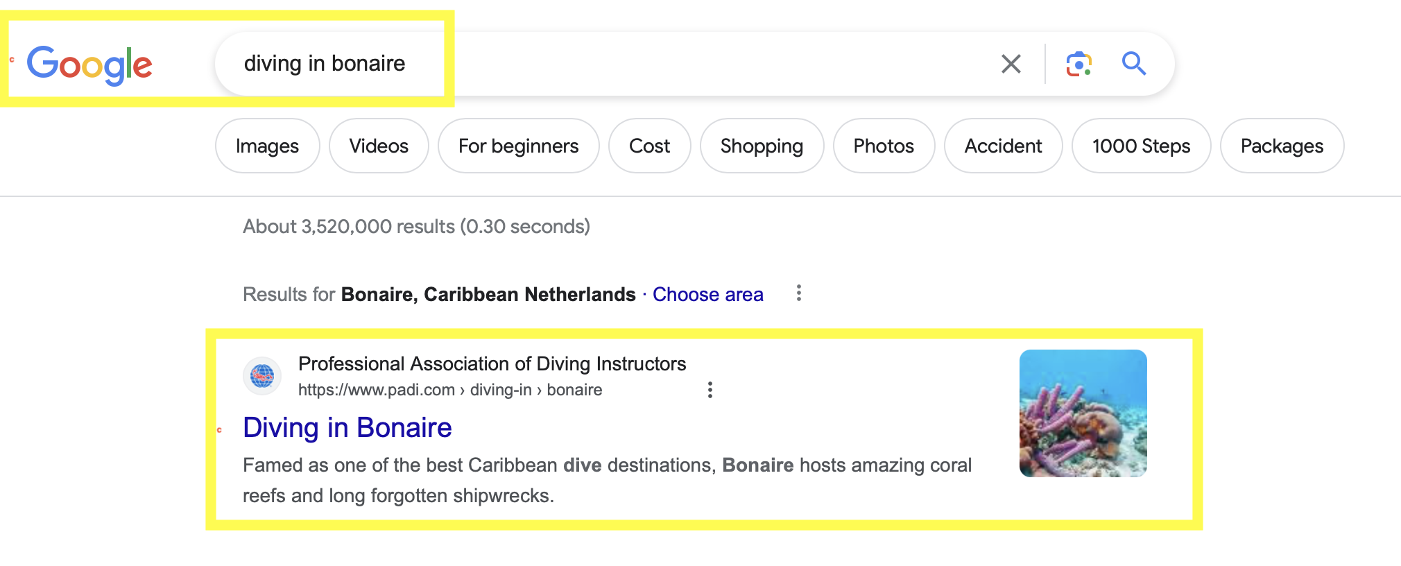 A screenshot of Google results for 'diving in bonaire'