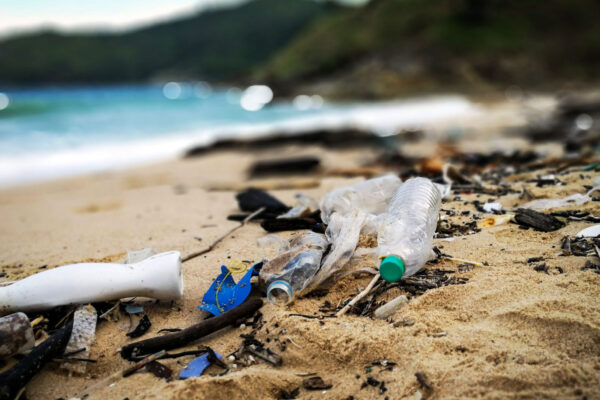 plastic on a shoreline padi aware