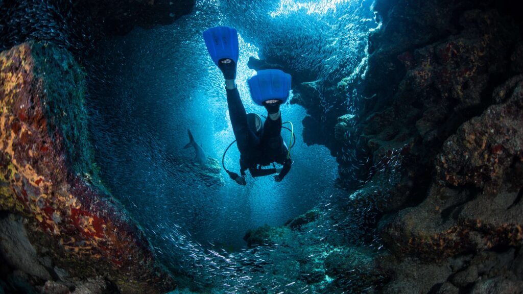 A diver swims through a cave with lots of bait fish