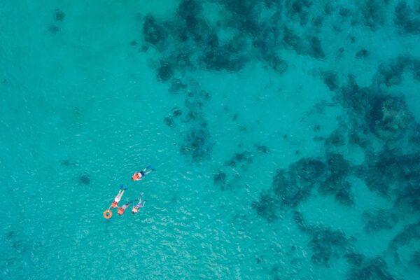 Family snorkeling over coral reef with clear blue ocean water, top view. Beautiful sea view, shot by drones. People swim in the transparent sea between coral reefs. Aerial view of tourists swimming.