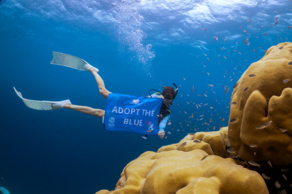 Scuba diver holding the Adopt the Blue flag underwater.
