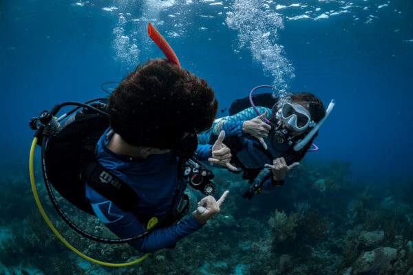 Two divers communicate using hand signals underwater