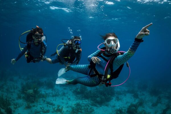 Dive guide points on something underwater to show to two divers