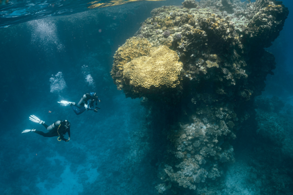 two divers explore a coral reef and photographed from afar