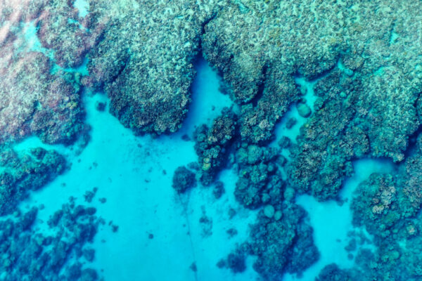 An aerial shot of the ocean and a coral reef