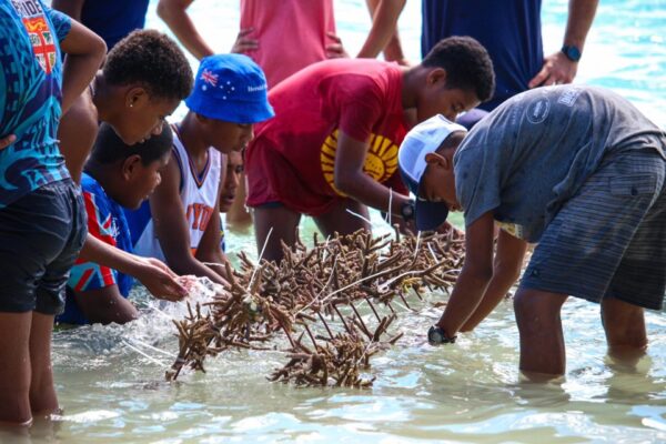 A group of people work on coral planting in the water