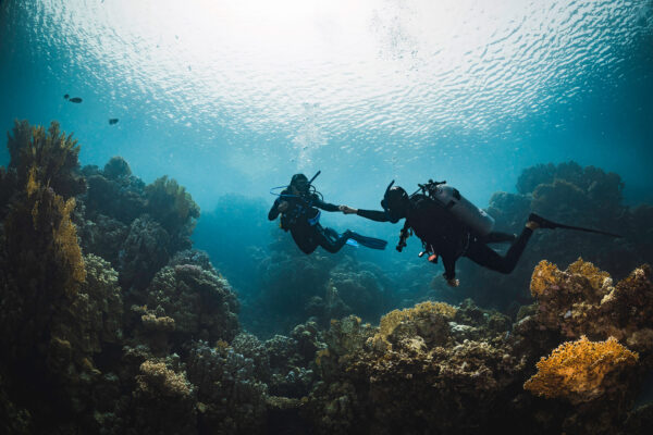 Two divers give each other a fist bump underwater