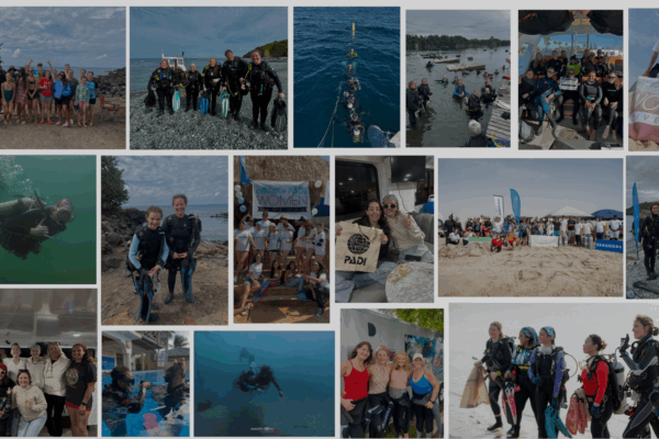 A collage from PADI Women's Dive Day 2025