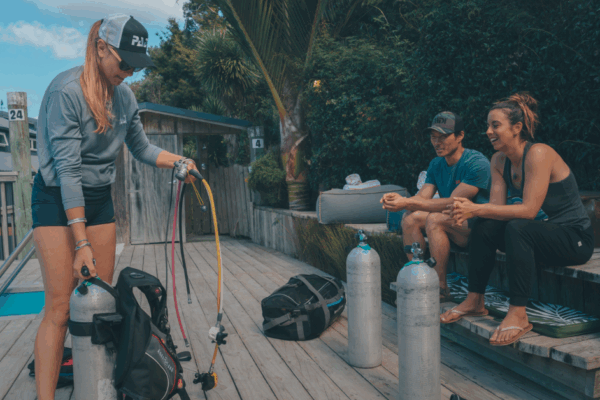 Cómo el curso PADI Open Water Diver impulsa el crecimiento del negocio en PADI Adventures