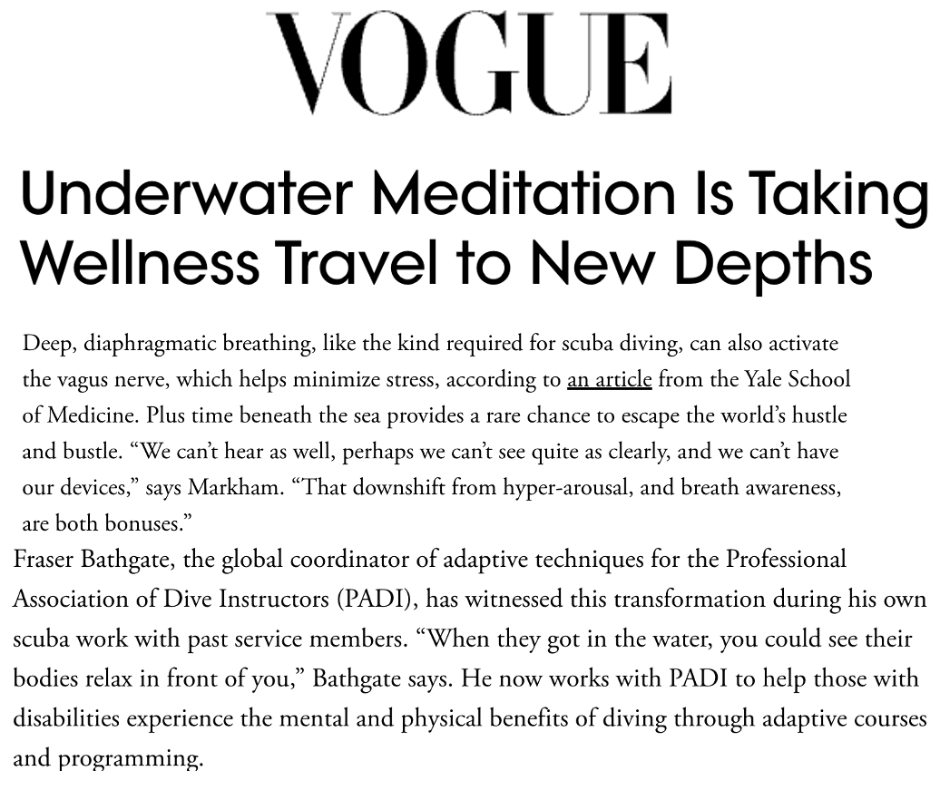 Capture d'écran d'un article du magazine Vogue portant sur les membres de PADI.