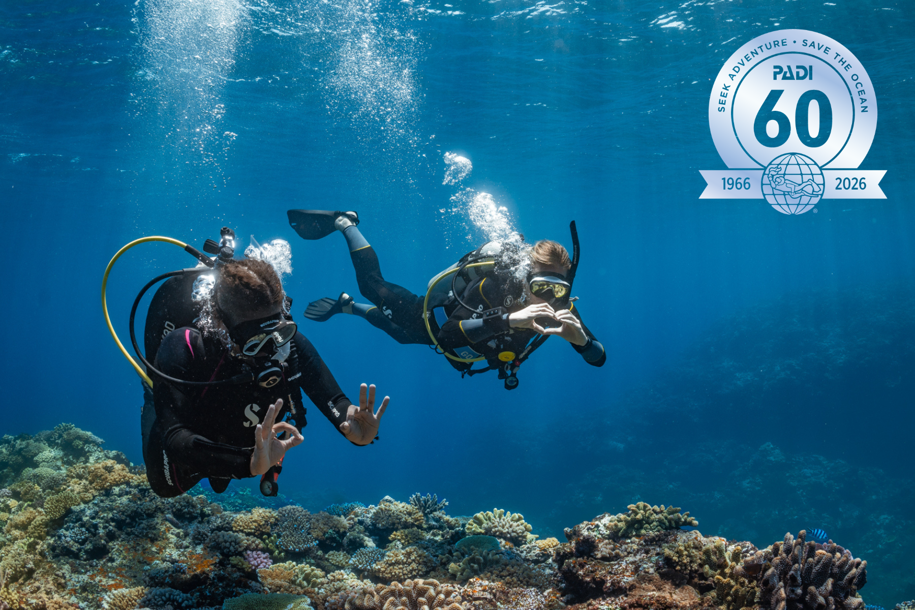 两名潜水员在海洋中探险。一个做出 "OK "的手势,一个对着镜头做出 "心 "的手势。