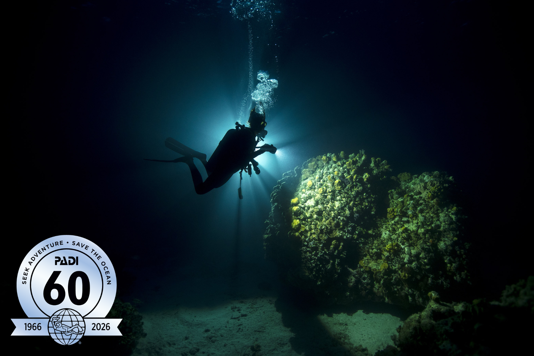 一名潜水员在夜间手持潜水手电筒探索珊瑚礁