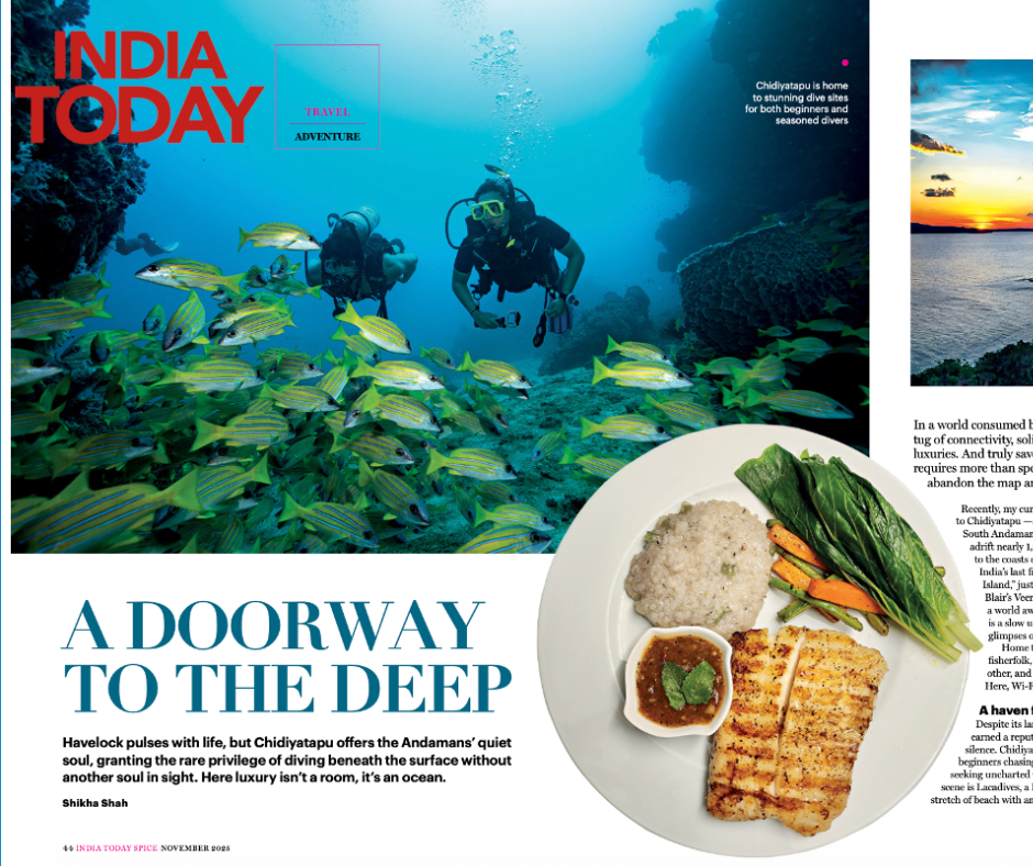 Capture d'écran d'un article du magazine India Today portant sur les membres de PADI Members.