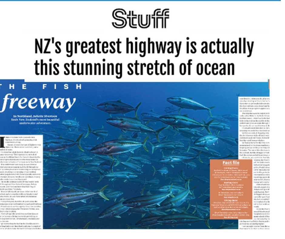 Capture d'écran d'un article du magazine Stuff portant sur les membres de PADI.