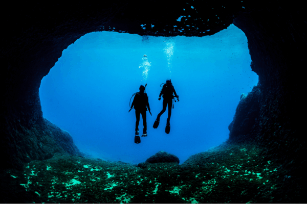 Les membres PADI dans la presse : résumé des faits marquants de l&rsquo;année 2025