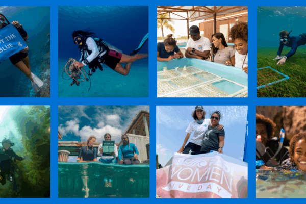 Celebrando los 60 Años de Salvar el Océano con PADI: un Legado de Conservación y un Futuro Construido con un Propósito