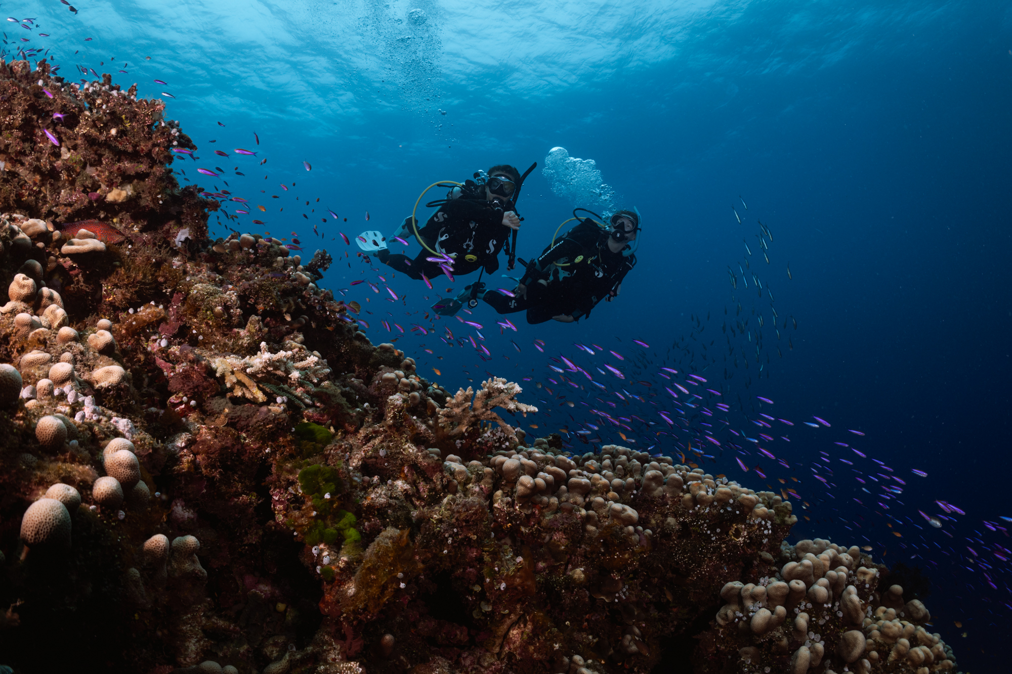 Die Master Scuba Diver Challenge als ganzjährigen Wachstumsmotor nutzen