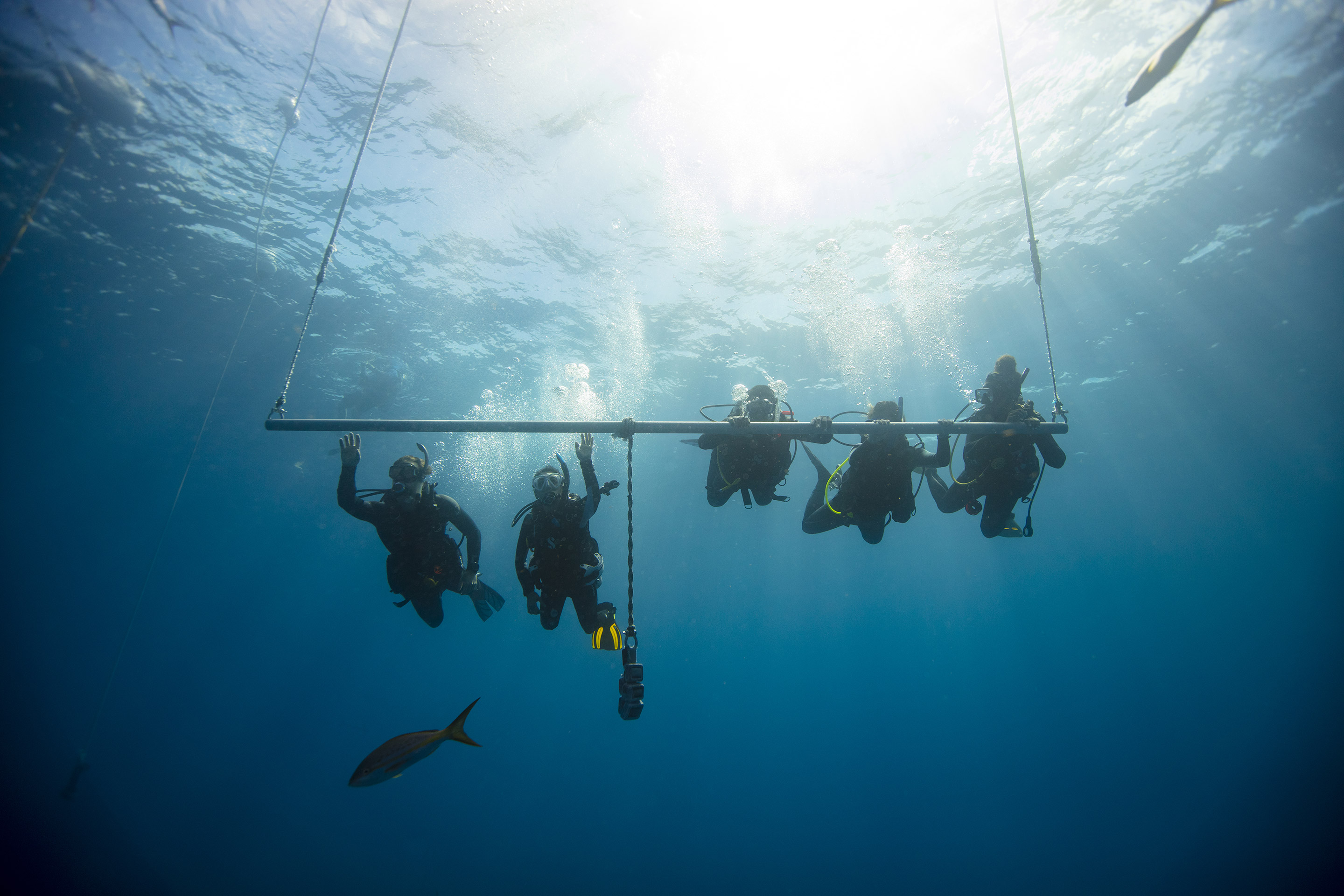 The Campus Edge: Dive Into the 264 Million-Strong Student Market