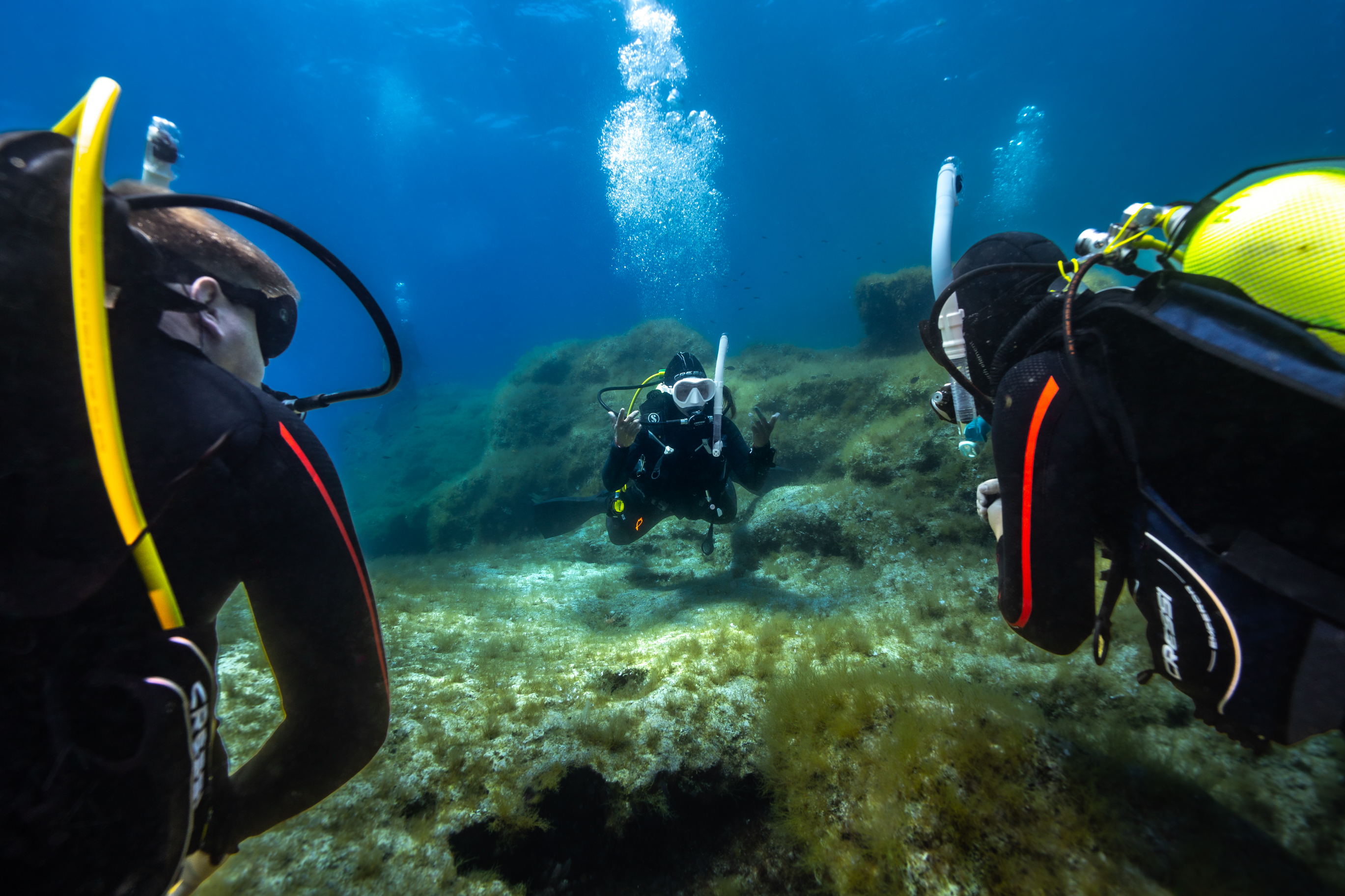 Your Achievements. Your Exclusive Rewards. Introducing the PADI PRO+ Reward Program