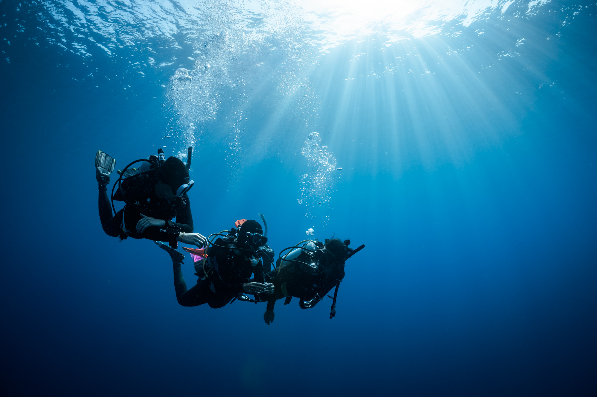 PADI Foundation Grant Applications Open November 1, 2026
